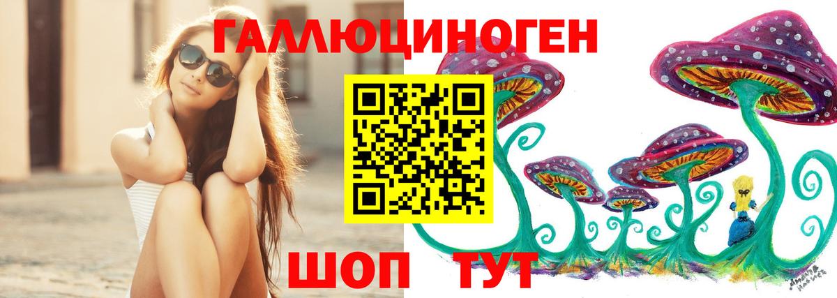 Псилоцибиновые грибы GOLDEN TEACHER Урус-Мартан